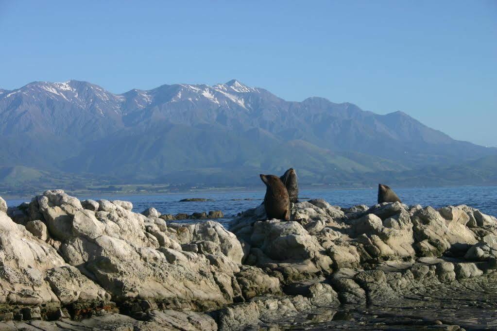 The Point B&B Kaikoura Eksteriør bilde